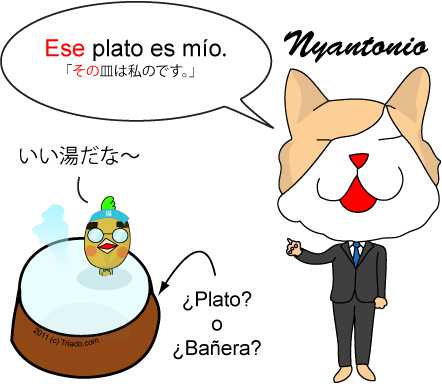 保護中: 【毎日カゾク】ビジネス猫・ニャントニオ