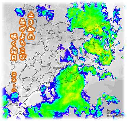 保護中: 【毎日カゾク】雨・雨・雨